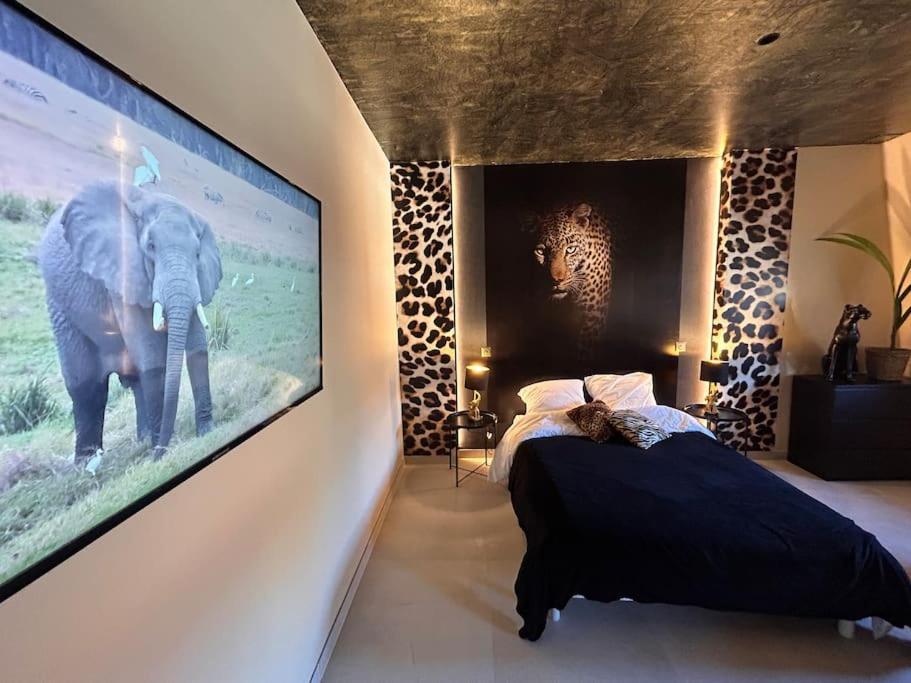 Esprit Africa, Spa Et Sauna De Luxe مُلووز المظهر الخارجي الصورة